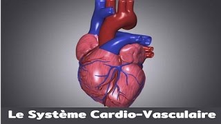 Le système cardiovasculaire [upl. by Nitz]