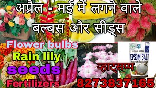 summer flower bulbs update video lily bulbs  rhyzomes and tuber seeds fertilizer [upl. by Tobit]