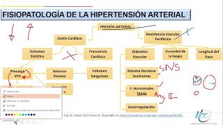 Fisiopatología de la Hipertensión Arterial [upl. by Aneerbas]