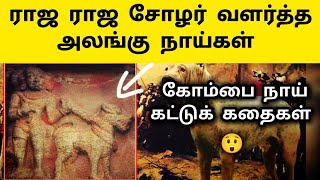 மறைக்கப்பட்ட நாட்டு நாய் வரலாறு 😲 Alangu Dog History in Tamil  Kombai Nai Varalaru rajarajacholan [upl. by Atsyrc292]