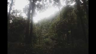 dieng amp petung [upl. by Yentterb]