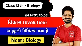 अनुकूली विकिरण  Adaptive Radiation Class 12th Biology in Hindi  Jaiv vikas class 12th imp question [upl. by Croft681]