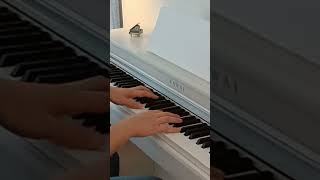 Chopin Nocturne in Csharp minor [upl. by Erreid816]