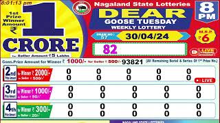 Dear Goose Tuesday Weekly Lottery 8PM 30042024 Dear Nagaland State Lotteries Live Draw Results [upl. by Jadd]