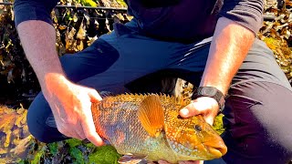 Loch Long  Light Rock Fishing [upl. by Trillby]