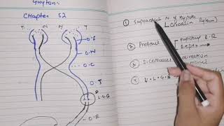 Visual pathway guyton 52 part 1 [upl. by Ahsat]