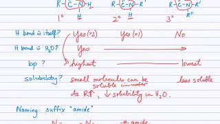 Amides [upl. by Nobel435]