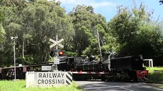 School Rd Railway Crossing Menzies Creek [upl. by Oiramrej]