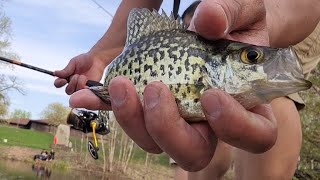 Crappie Fishing At Phalen Lake [upl. by Bust47]