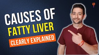 What Causes Fatty Liver NAFLD and Metabolic Syndrome  Clearly Explained [upl. by Libnah]