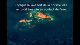 Voyage au fond des océans  Dorsale océanique en zone de Divergence [upl. by Furie359]