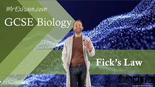 Ficks Law  GCSE Biology 91 85B [upl. by Plume802]