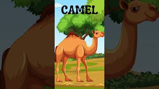 Amazing Animals for KidsFun Facts amp Learning About Animals  Animals of the World  CAMEL [upl. by Llenor331]