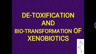 Biotransformation Detoxification and Xenobiotics [upl. by Ulrikaumeko]