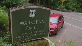 Cougar stalks hiker on Angels Rest Trail in Columbia River Gorge trails closed [upl. by Filler]