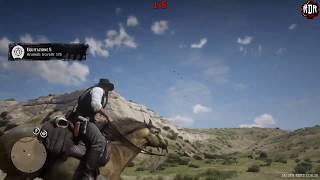 RDR2 ITA  SFIDA EQUITAZIONE 5  5 Animali travolti [upl. by Sucerdor]