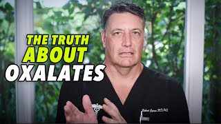 Ep87 THE TRUTH ABOUT OXALATES Function dysfunction damage  by Robert Cywes [upl. by Anelam]