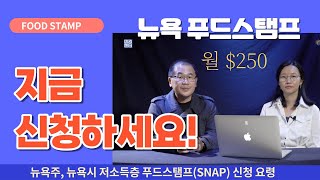 지금 신청하세요 뉴욕주 푸드스탬프SNAP 10월부터 월 250로 인상 [upl. by Calvina]