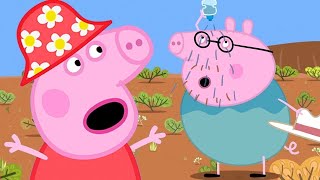 Peppa Pig Full Episodes 🇦🇺Earth Day Special [upl. by Hendricks141]