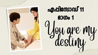 You are my destiny malayalam explanation  ep 11 [upl. by Noell309]