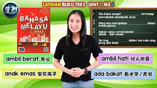 【BM Tahun 3】Buku Teks Ms6  Latihan Simpulan Bahasa【学到】 ANGELIA [upl. by Sharpe409]