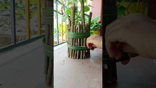 DIY Plant Holder  Indoor plants decor ideas shorts decoration plantcare indoorplants diy [upl. by Timrek]