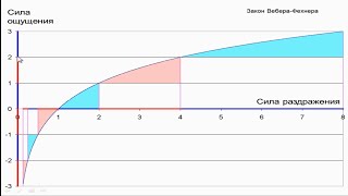 Закон ВебераФехнера [upl. by Assanav]
