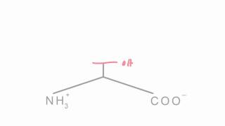 Memorize the 20 amino acids in 20 minutes Part 1 [upl. by Nomyar]