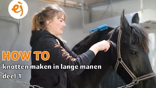 HOW TO KNOTTEN maken in LANGE MANEN  Deel 1  67  Epplejeck [upl. by Derrek974]