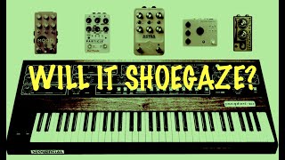 Prophet 10 Shoegazeish with FX pedals creating massive deep distorted soundscape [upl. by Navada]