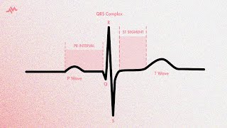 The Cardiac Cycle on an EKG PQRST Waves [upl. by Wu703]