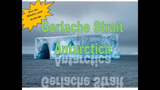 Unbelievable Adventure Exploring The Stunning Gerlache Straits In Antarctica  Ultimate World Cruise [upl. by Anyal385]