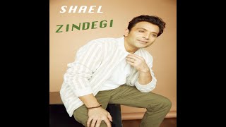 ZINDEGI  Shael Oswal  Official Audio [upl. by Gregoor]