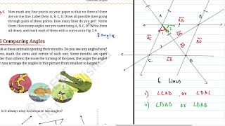 Lines amp Angles  Class 6  Chapter 2  25  Question 6 [upl. by Bottali658]