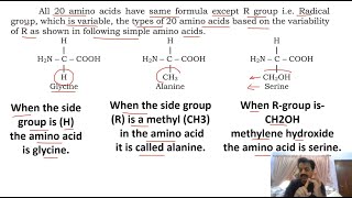 Chapter 1  Biological molecules  Part 10  Proteins  Sindh Text Board [upl. by Heiskell314]