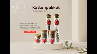 Kattenpakket kattenkruiden [upl. by Moll140]