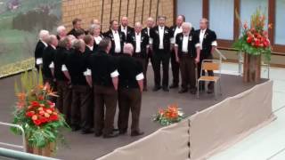 Jodlerklub Wattenwil Jodlerfest Steffisburg 2016 [upl. by Azitram]