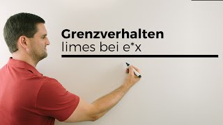 Grenzverhalten limes bei ex Exponentialfunktion eFunktion 1Teil  Mathe by Daniel Jung [upl. by Liryc]