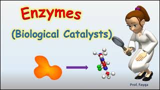 What are enzymes Cofactor Coenzyme and Prosthetic group class11 [upl. by Meli162]