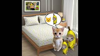 Baby Banana Cat 😺❤️ catmemes cat shorts fyp bananacat [upl. by Rayburn71]