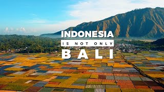 The Reasons behind Lomboks popularity  Travel Documentary Indonesia is not only Bali Ep 03 [upl. by Wiseman]