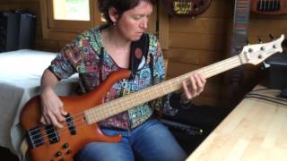 RHCP  The power of equality  HD bass cover by Laure Sound Box [upl. by Arracahs]