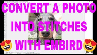 EMBIRD CLASS Convert a photo into stitches Embird Sfumato Stitch [upl. by Isidro314]