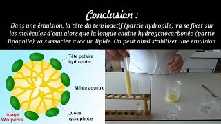 Emulsions et tensioactifs [upl. by Clite632]