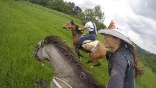 Epic horse galloping with GoPro by KristyM Ranch [upl. by Ricketts]