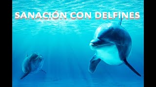 Música relajante  Sanación con delfines  Ondas Binaural Alfa [upl. by Narok79]