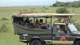 Cheetah jumps into a Safari Vehicle  Masai Mara  Kenya [upl. by Cesar]