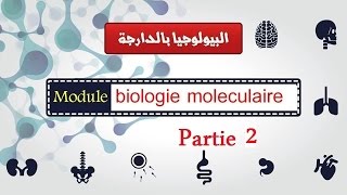 Cours biologie moléculaire partie 2  les enzymes de restriction  البيولوجيا بالدارجة [upl. by Otipaga]