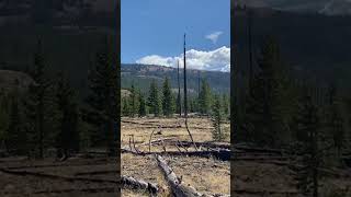 Solo backpack Thoroughfare Trail Yellowstone 360 view Snow on mtns forest fire damage [upl. by Arod]