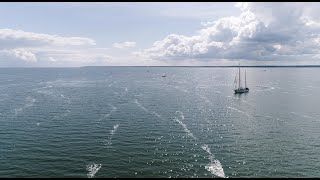 Segelyacht Greif von Ueckermünde [upl. by Enaoj363]